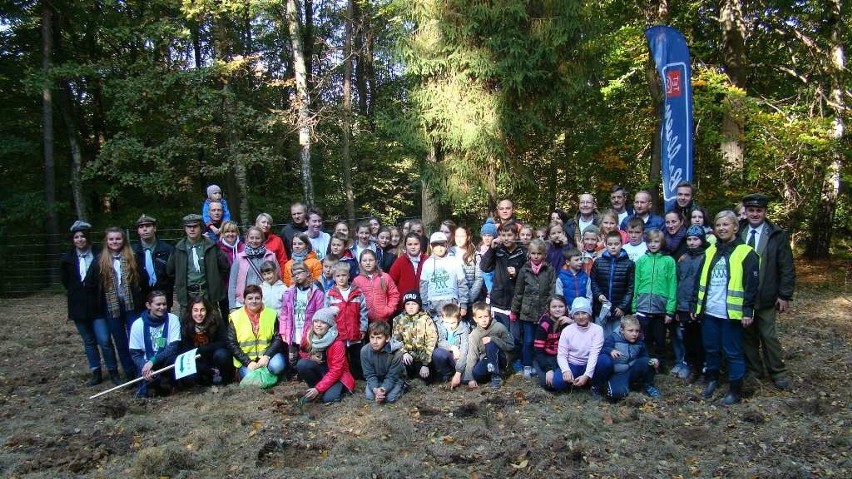 Uczestnicy akcji sadzenie drzew w Lesie Bronaczowa w...