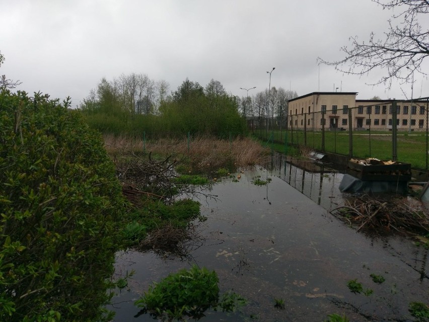 Podtopienia w Schodni koło Ozimka spowodowane wysokim stanem...