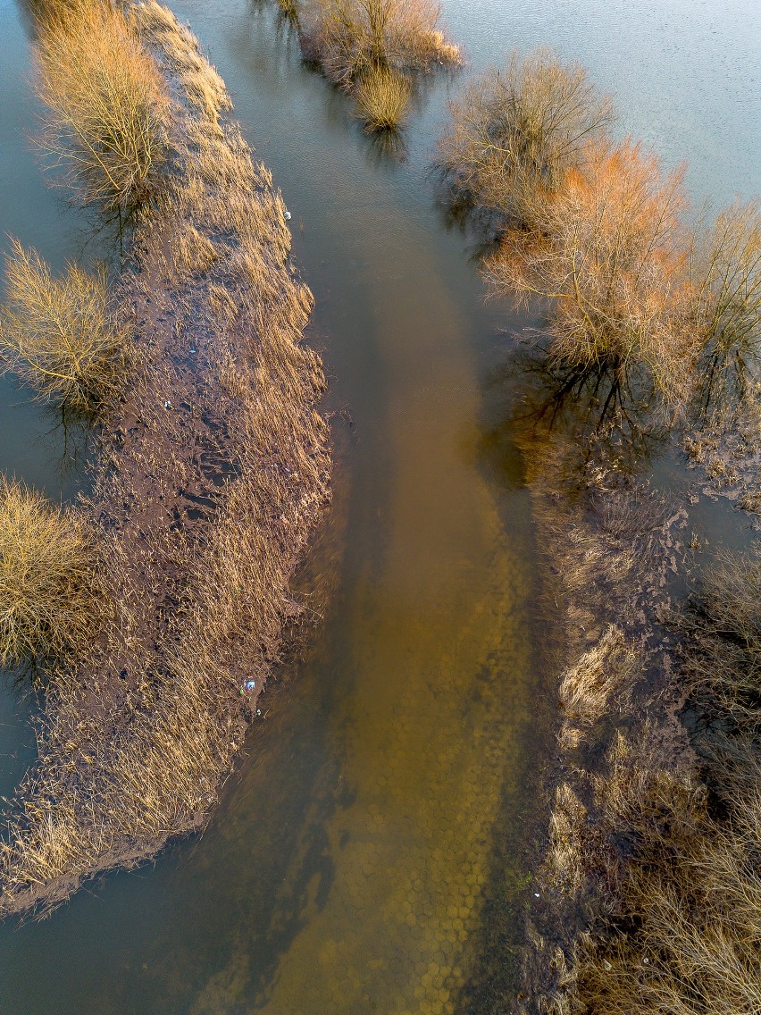 Podwyższony stan wód w rzece Wiśle