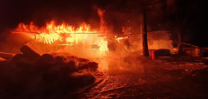 Strażacy walczyli z ogniem, który zajął budynek tartaku w...