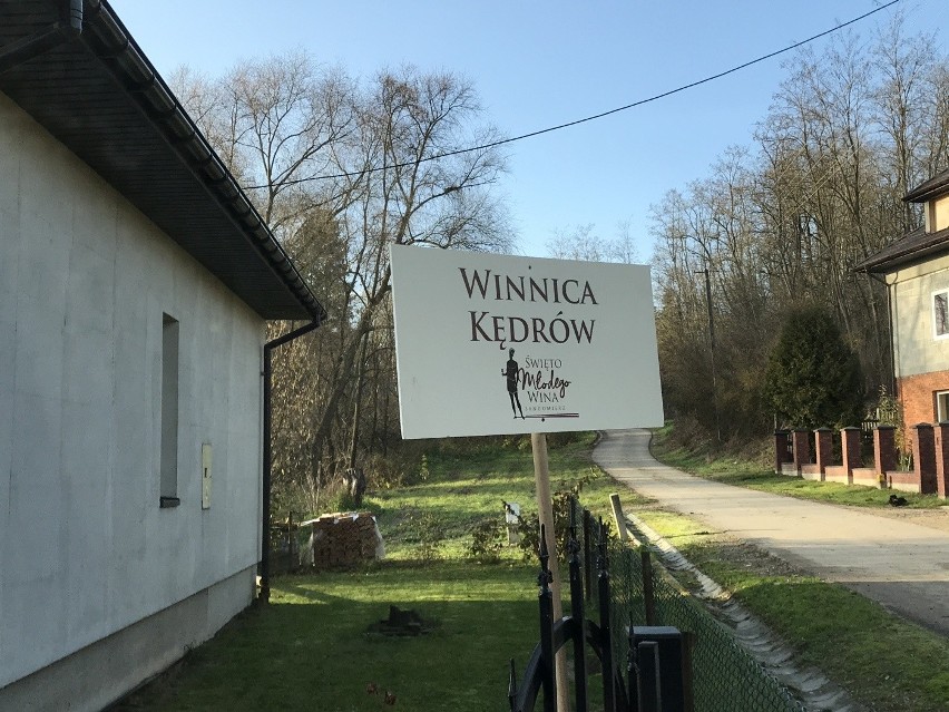 Święto Młodego Wina 2019 w Sandomierzu. Winnica Kędrów podczas dnia otwartego: "Jeśli wino smakuje, to idziemy w dobrą stronę" [ZDJĘCIA]