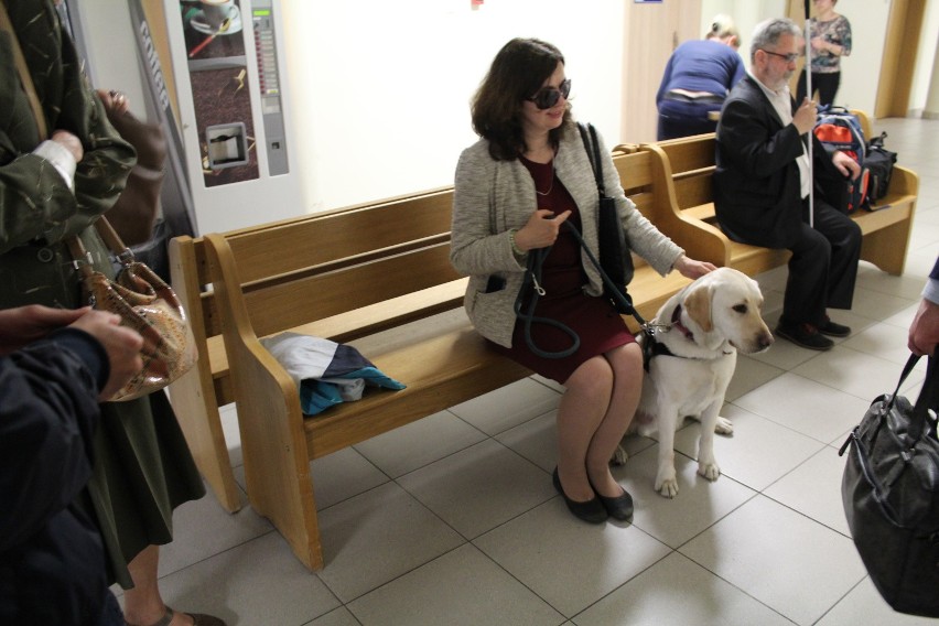 Kraków. Prawomocny wyrok w sprawie niewidomej pacjentki z psem asystującym