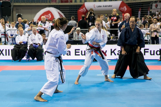 Mistrzostwa świata w karate tradycyjnym w Tauron Arenie.