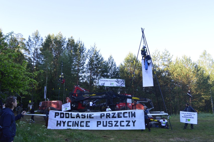 Ekolodzy od dawna walczą o ochronę Puszczy Białowieskiej....