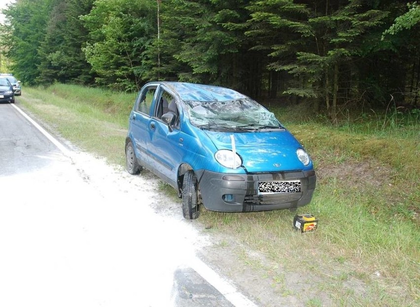 Wypadek koło Zwierzyńca: Owad wleciał do samochodu, auto dachowało