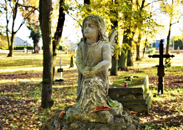 Stary cmentarz w Tarnobrzegu. W ratowaniu pamiątek przeszłości potrzebna jest hojność.