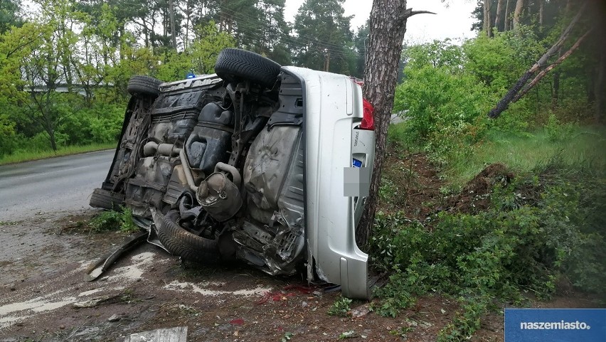 Wypadek we Włocławku. Kierowca toyoty dachował i uderzył w drzewo [zdjęcia]
