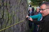 10 października to Święto Drzewa. Sprawdź jak będzie obchodzone w nadleśnictwach RDLP w Krośnie