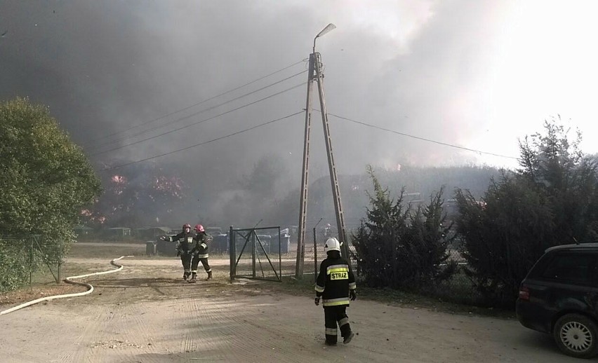 Studzianki. Pożar wysypiska śmieci gminy Wasilków gasi...