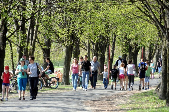 W czasie majówki warto znaleźć czas na spacer nad zalewem: za darmo i miejsca nie są limitowane