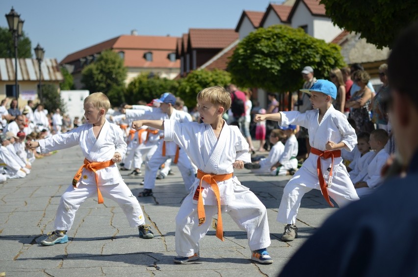 Letnia Akademia Karate w Niepołomicach z atrakcjami