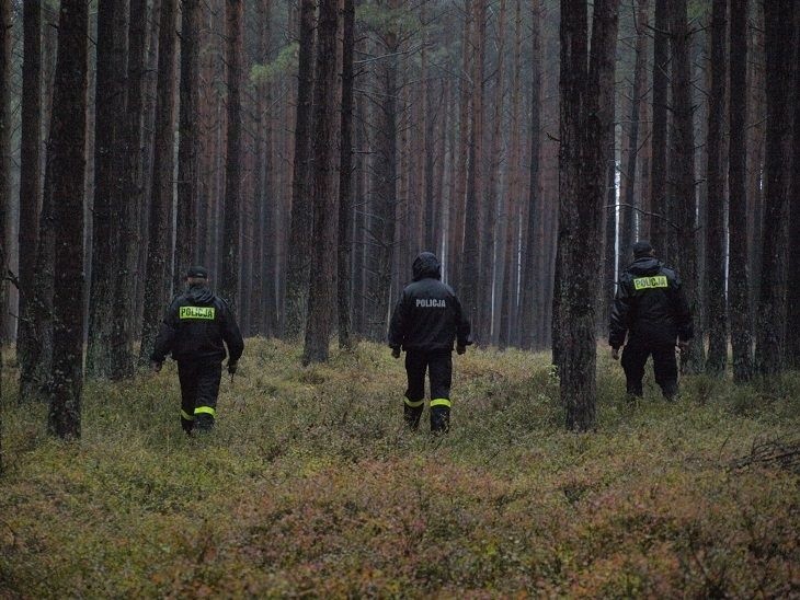 Wciąż trwają poszukiwania 86-letniego grzybiarza w lasach w okolicach Rosnowa [wideo, zdjęcia]