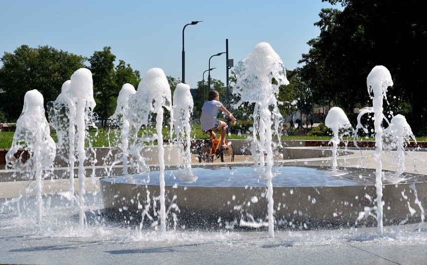 Stare Koryto Warty: Były chaszcze, teraz jest park