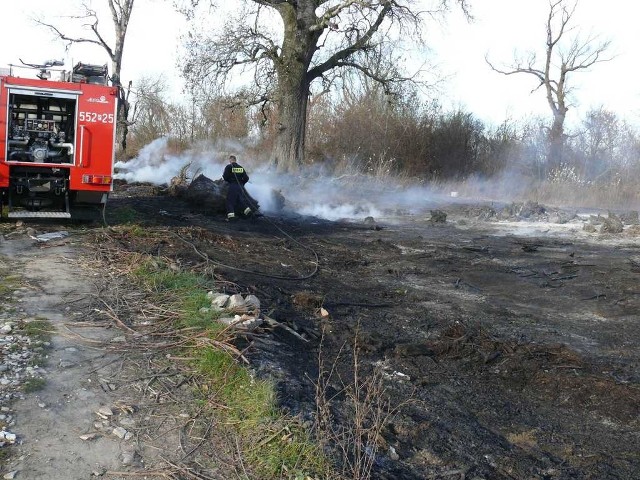 Już płoną trawy na nadsańskich błoniach.