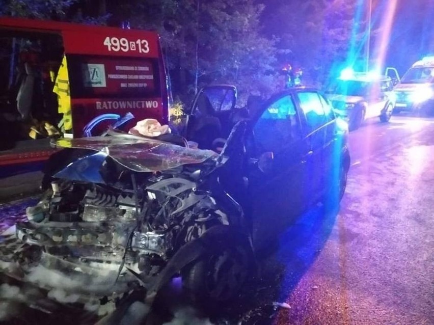 Wypadek w Stegnie 7.07.2021 r. Zderzyły się dwa samochody, siedem osób zostało rannych 