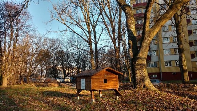 Jeden z domków dla kotów rozstawionych przez miasto w ramach środków z budżetu obywatelskiego 