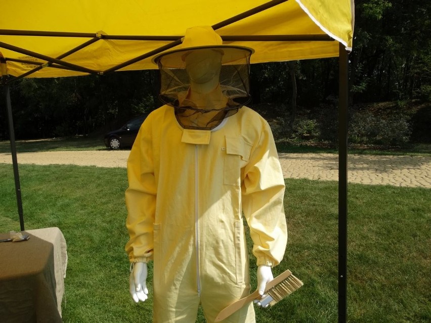 Wielki Dzień Pszczół w ogrodzie botanicznym w Mikołowie