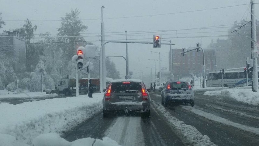 Silny wiatr i obfite opady śniegu sparaliżowały niektóre...