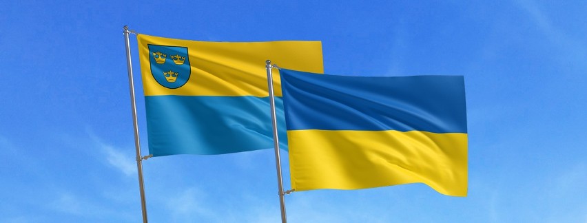 Pabianiczanie wspierają mieszkańców Ukrainy. Harcerze i inne organizacje - zbiórki