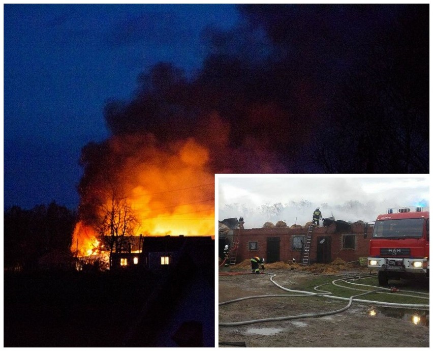 Straszny pożar w Romanowie: spłonęły budynki, maszyny rolnicze, pasza, udusiło się bydło