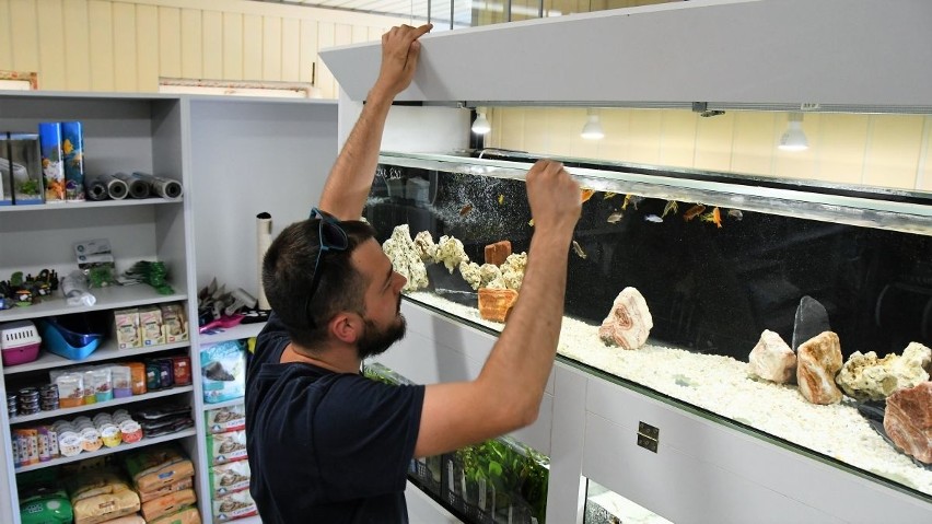 Nowy sklep zoologiczny "Kameleon" w Nowinach. Powstał z pasji [ZDJĘCIA, WIDEO] 