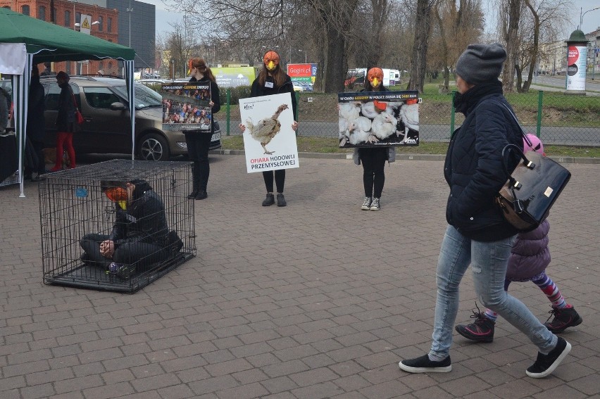 Viva! Akcja dla zwierząt - Happening "Wielkanoc bez jaj #2" [ZDJĘCIA]