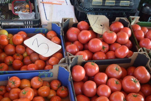 Pomidory w bardzo przystępnych cenach sprzedawano we wtorek 22 sierpnia na targowisku w Przysusze.