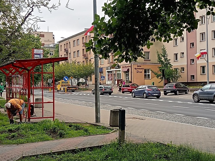 Lawety wywożą auta z ulicy Mickiewicza