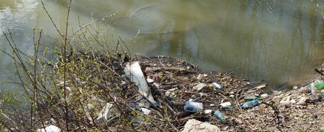 Śmieci, które zalegają brzegi Wielopolki,  nie ma kto posprzątać.