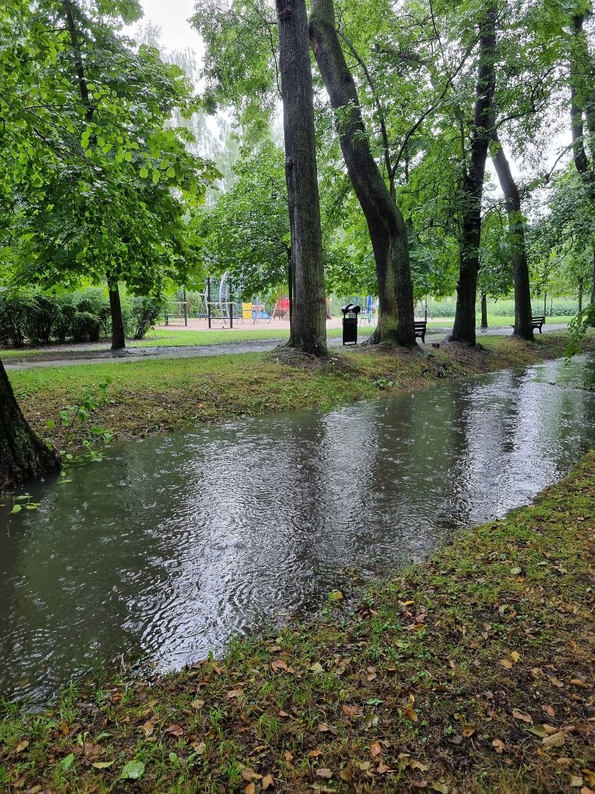 We Wrocławiu woda z lokalnego cieku wodnego, podtopiła park...