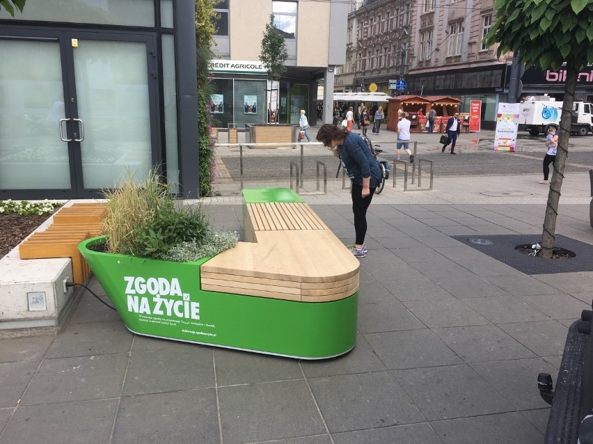 Ławka z kampanii Zgoda na życie na placu Kwiatowym w...