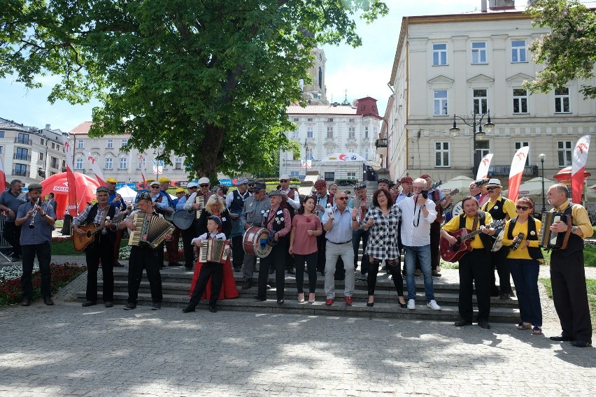 11 kapel z różnych stron Polski, wzięło udział w...