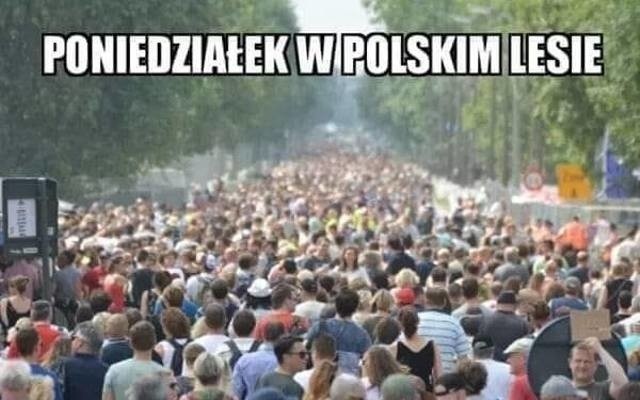 Bieganie na wesoło - zobacz memy, a na pewno uśmiechniesz się