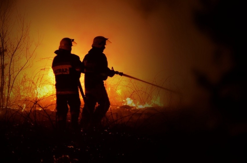 Powiaty olkuski i chrzanowski. W ciągu doby doszło to kilkunastu pożarów traw. Strażacy apelują: przestańcie wypalać łąki!