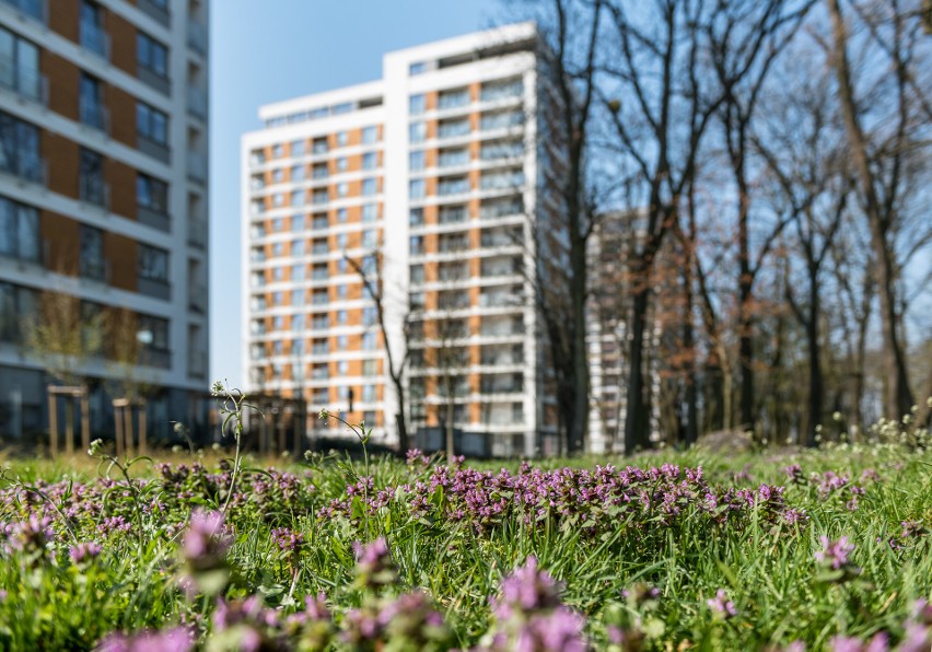 Sprzedaż nowych mieszkań w Polsce utrzymuje się na bardzo...