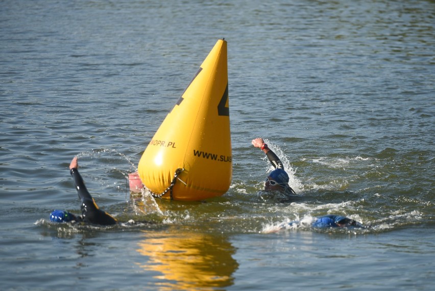 Etixx Silesiaman Triathlon. Zawodnicy startują na w tzw....