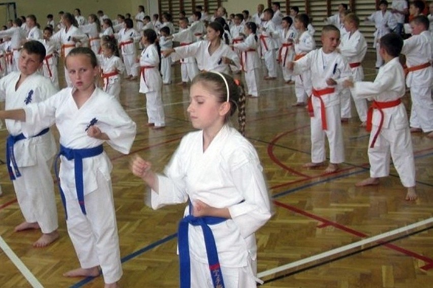 Karatecy Skarżyskiego Klubu Sportów Walki już po egzaminach na wyższe stopnie kyu [ZDJĘCIA]