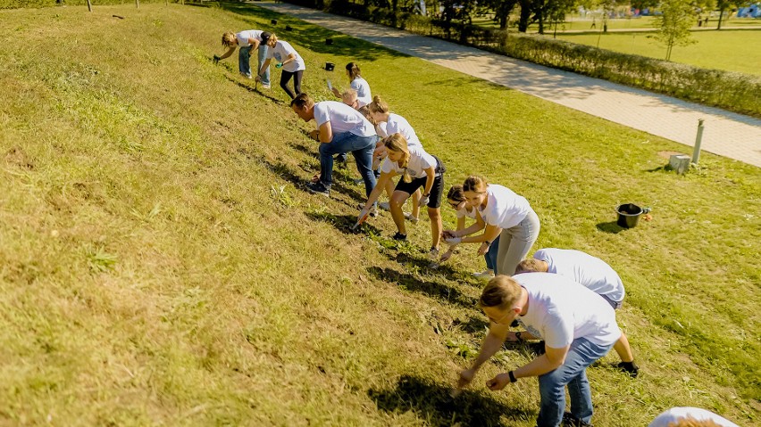 Wolontariusze Volkswagena Poznań uczestniczyli w akcji „Wspólnie POZmieniajmy”