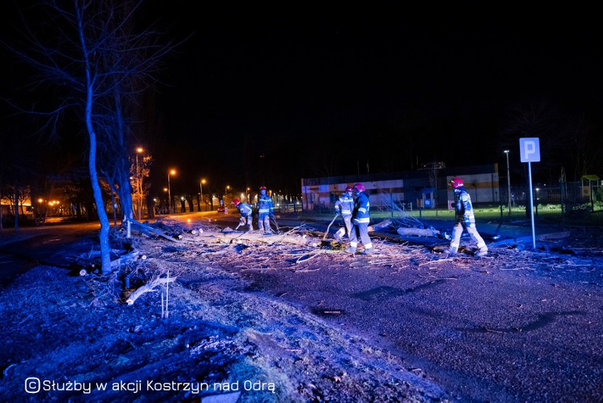 Strażacy z Kostrzyna usuwali powalone drzewo na ul....