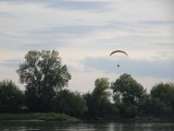 "Dzicy" motoparalotniarze nad Toruniem - łamią przepisy i płoszą ptaki  