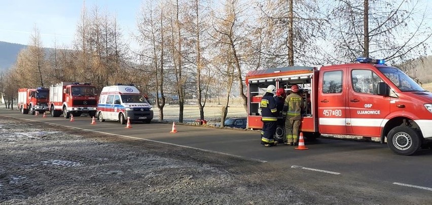 Ujanowice. Samochód w rowie. Strażacy w akcji