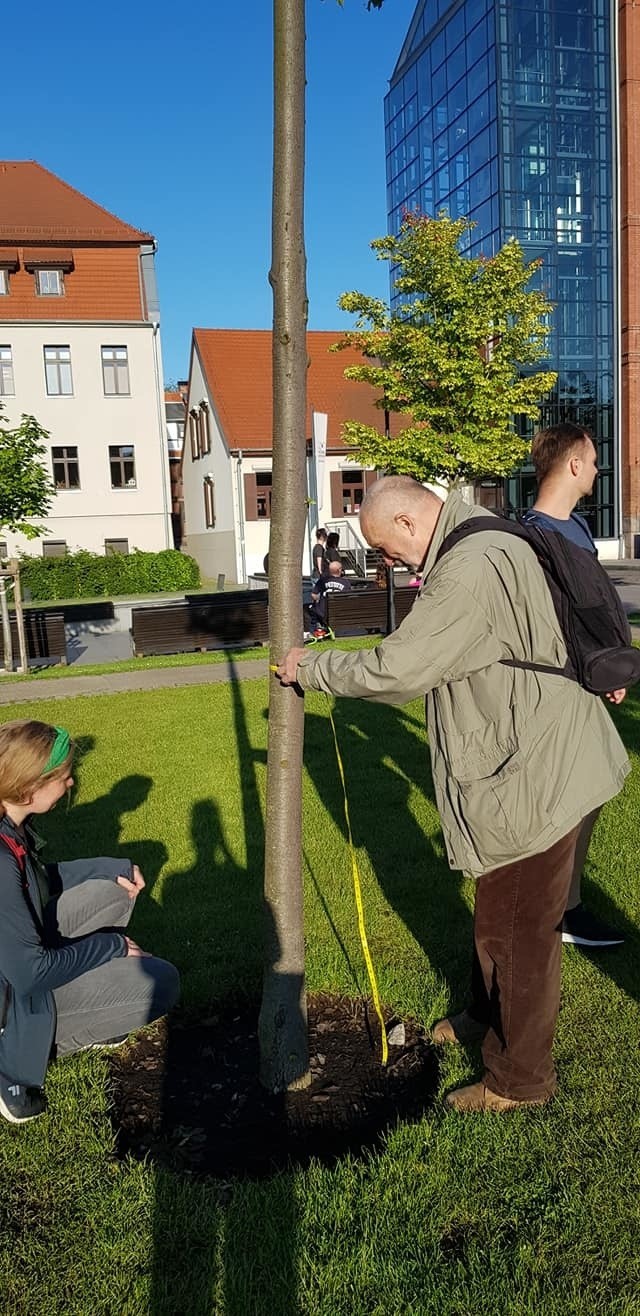 Wolontariusze i członkowie stowarzyszenia MODrzew liczą...