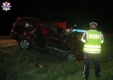 Wypadek w Wandzinie: Sarna wybiegła na drogę przed samochód. Kierowca opla zjechał na przeciwny pas ruchu i uderzył w mercedesa