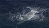 Południowokoreański statek zatonął po zderzeniu z panamskim kontenerowcem [wideo] 