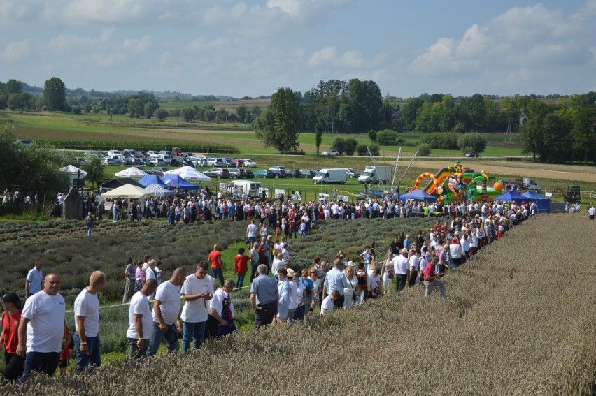 Ostrów. Z sierpami i kosami weszli do Księgi Rekordów Guinnessa ZDJĘCIA i WIDEO