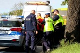 Kurier skuty kajdankami przez policję po wypadku busa i autobusu podmiejskiego we Wrocławiu [ZDJĘCIA]