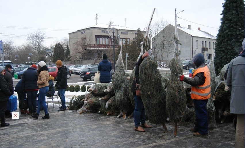 Choinka za elektrośmieci – świąteczna akcja we Włoszczowie (ZDJĘCIA)