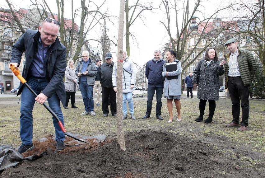 Piotr Krzystek posadził drzewo na placu Grunwaldzkim [ZDJĘCIA]