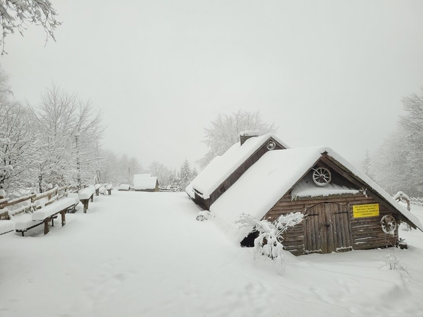 Zima na Kudłaczach