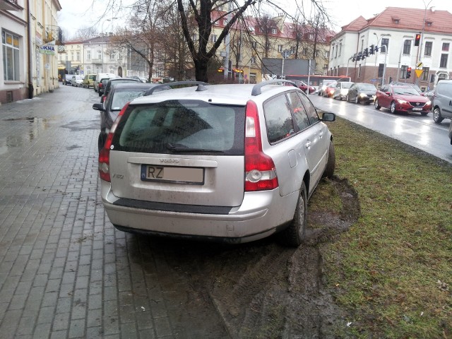 Zdjęcie z pl. Śreniawitów przekazaliśmy Straży Miejskiej w Rzeszowie.